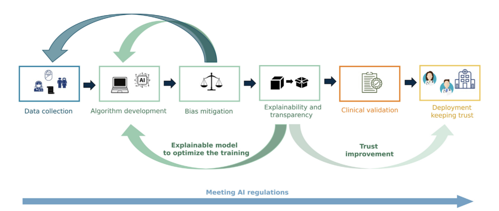 A Pathway for Integrating Artificial Intelligence for Neonatal Neuromonitoring: From Code to Crib Side