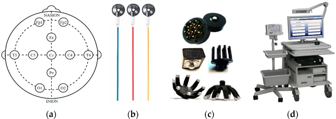 Analysis of a Low-Cost EEG Monitoring System and Dry Electrodes toward Clinical Use in the Neonatal ICU